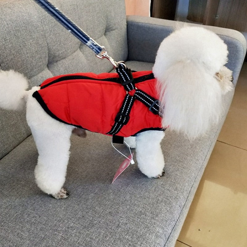 Hanyang Lbv Puppy Dog Custom Clothes Winter Polyester Soft Harness with  Zipper for Big and Little Dogs - China LV Dog Clothes and Harness for Big  and Little Dogs price