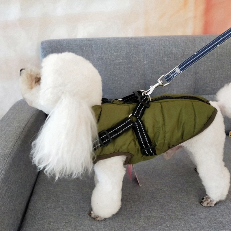 🐾Winter Waterproof Dog Harness🐾